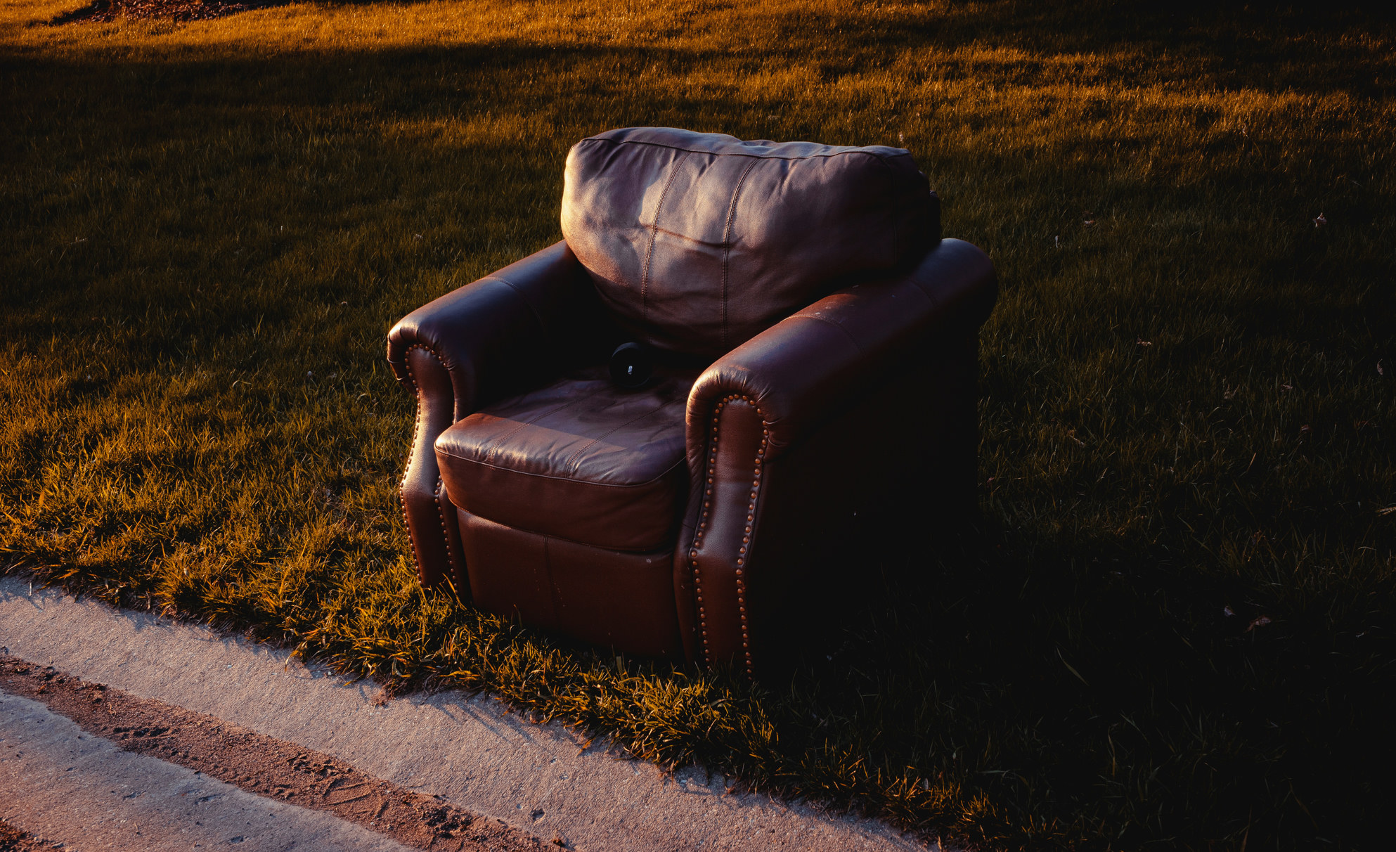 Leather armchair on grass in evening light
